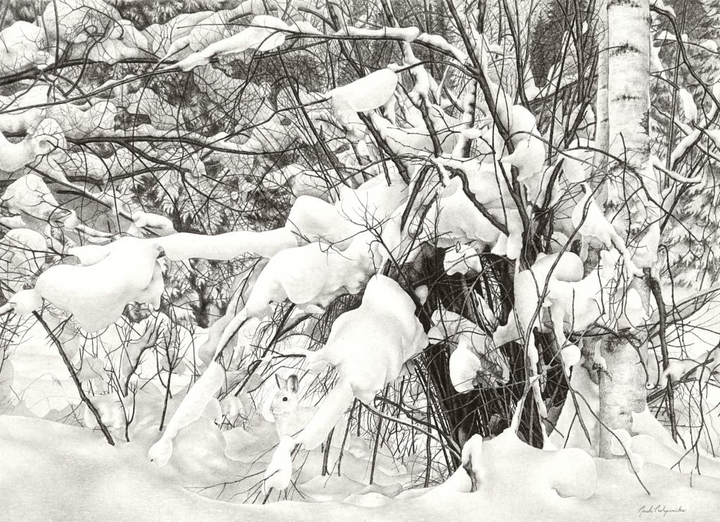 realistic pencil drawing of snowy woods