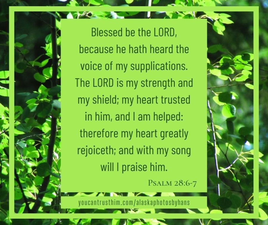 According to His Will - Psalm 28:6-7 Blessed be the LORD, because he hath heard the voice of my supplications. The LORD is my strength and my shield; my heart trusted in him, and I am helped therefore my heart greatly rejoiceth; and with my song will I